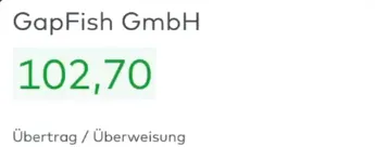 Mit Umfragen Geld verdienen