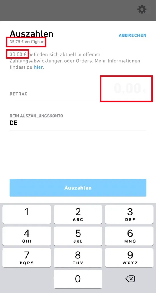 Verfügbaren Betrag bei Trade Republic auszahlen lassen